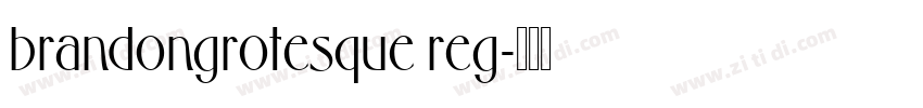 brandongrotesque reg字体转换